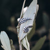 Adjustable Fern Sterling Silver or Bronze Ring - Kowhai and Sage