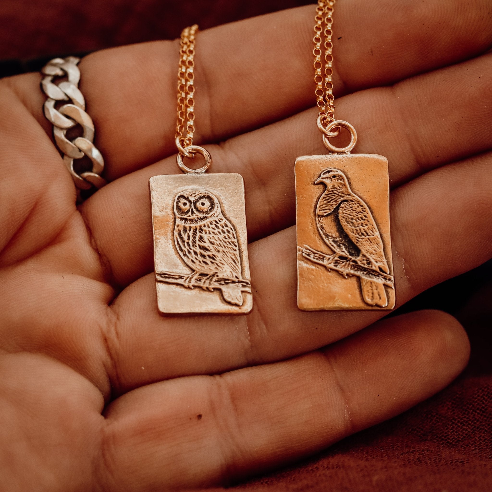 Bronze Kereru & Ruru Pendants - Kowhai and Sage