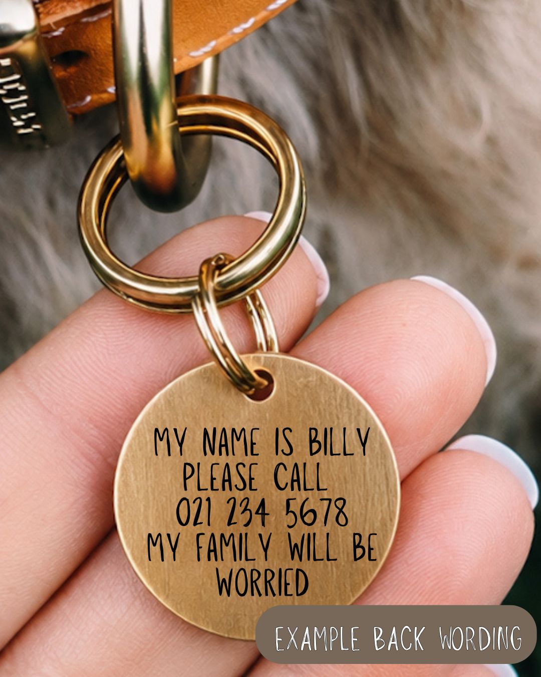 Chasing Butterflies Pet Tag