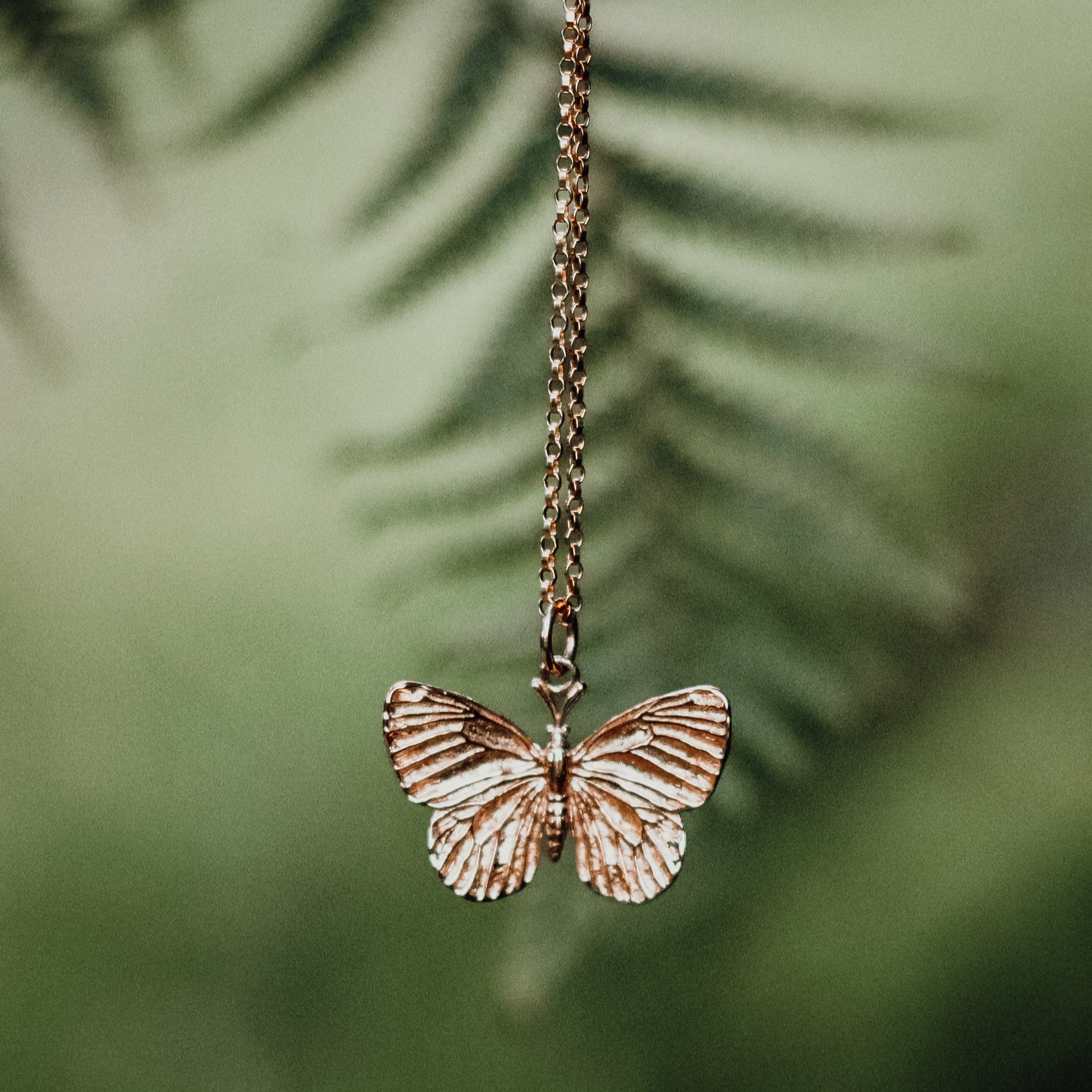 Bronze Butterfly Necklace on Gold Filled Chain