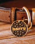 The Seafarer Pet Tag