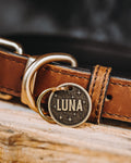 The Lucky One Pet Tag