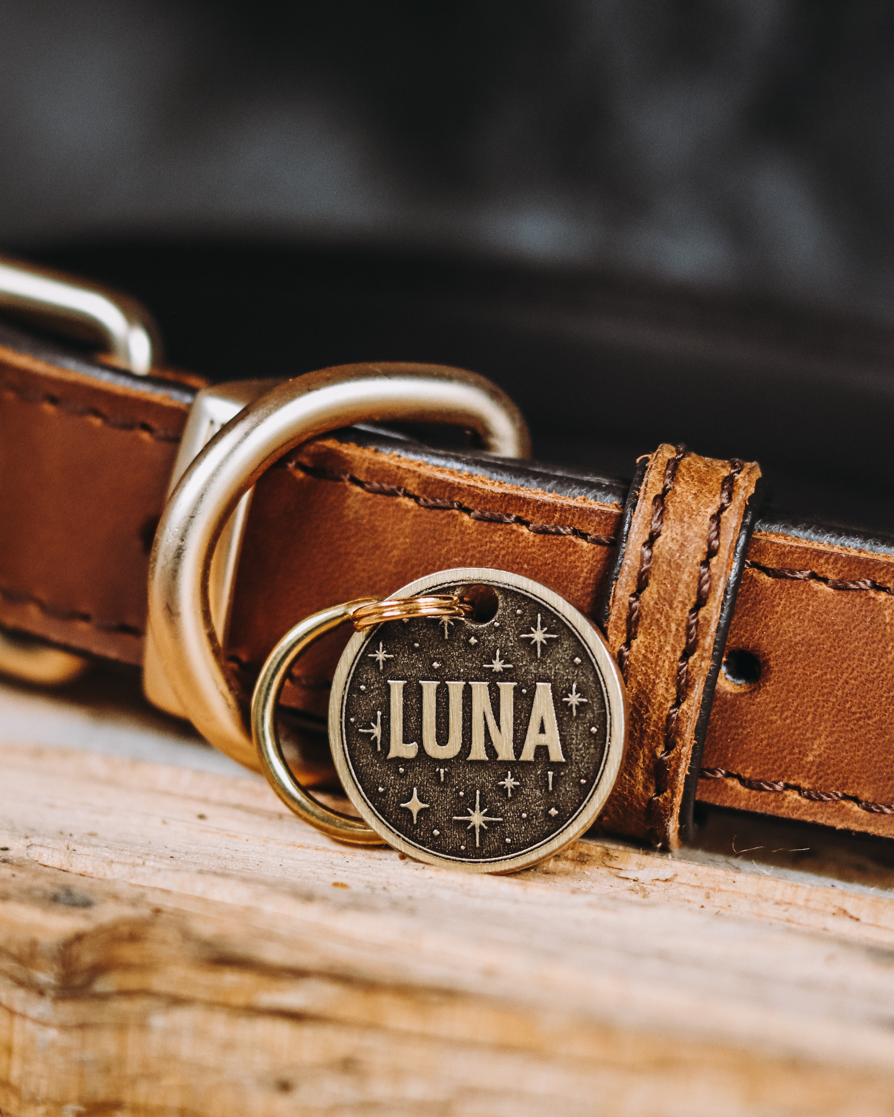 The Lucky One Pet Tag