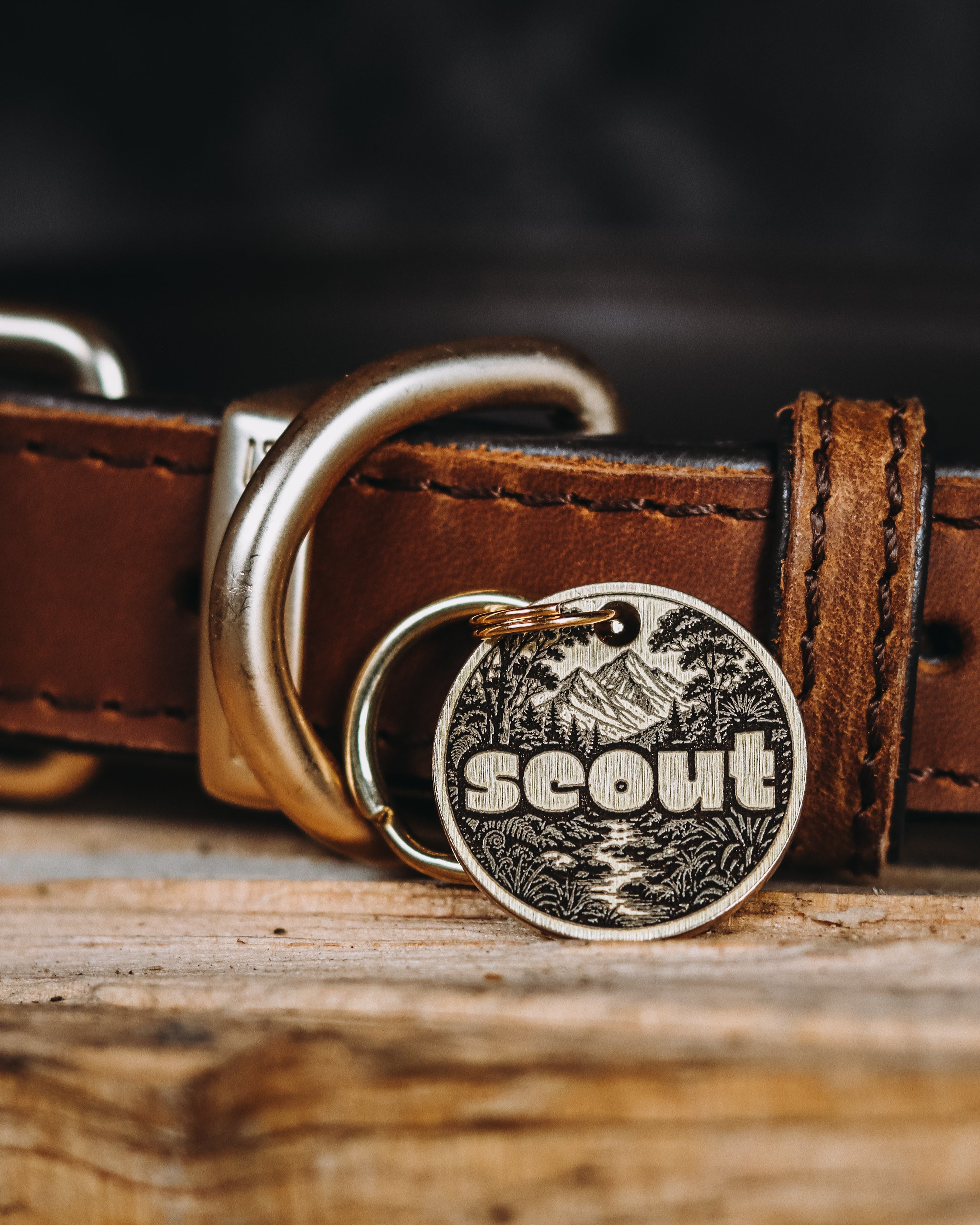 The Nature Adventurer Pet Tag