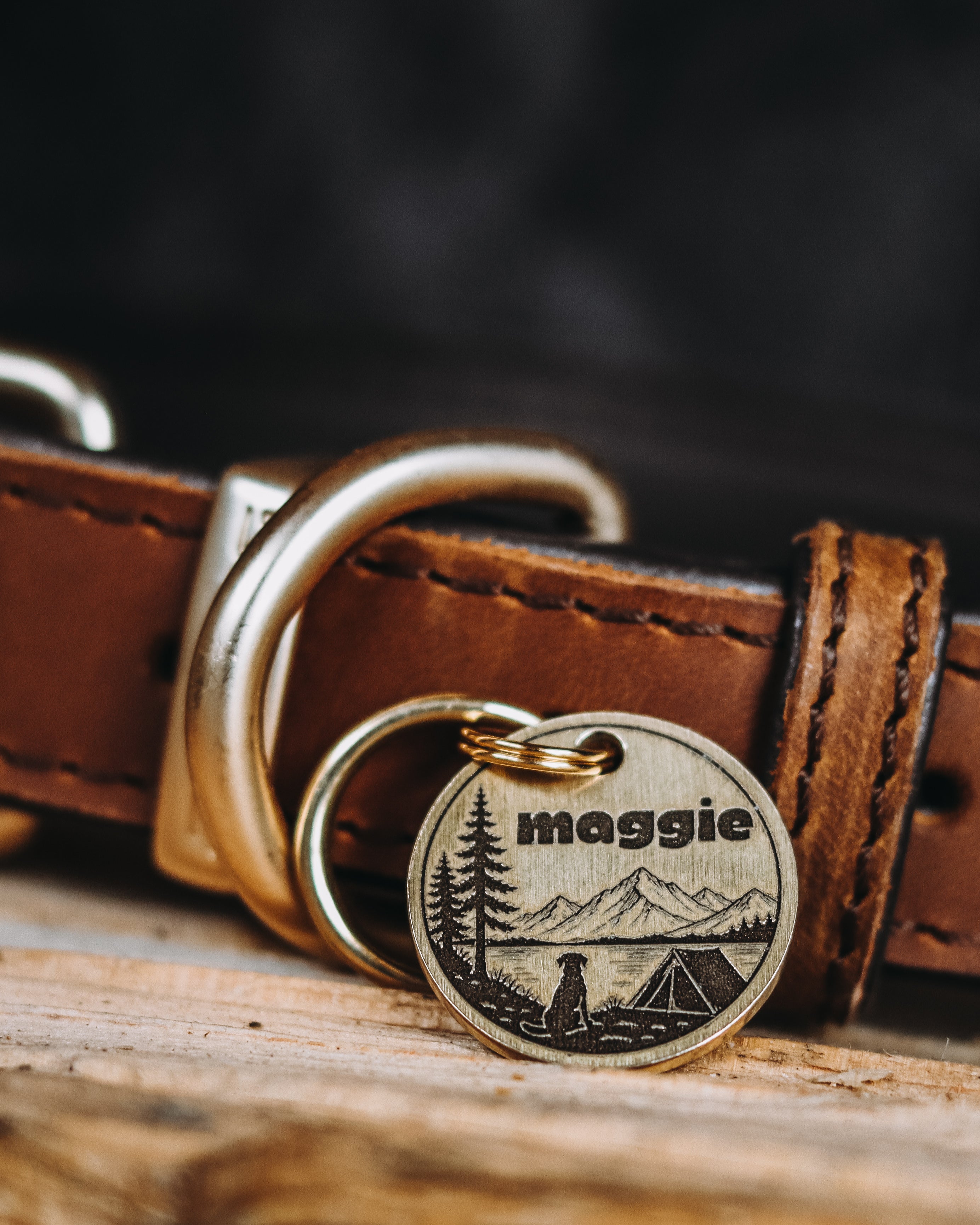 Camping With You Pet Tag