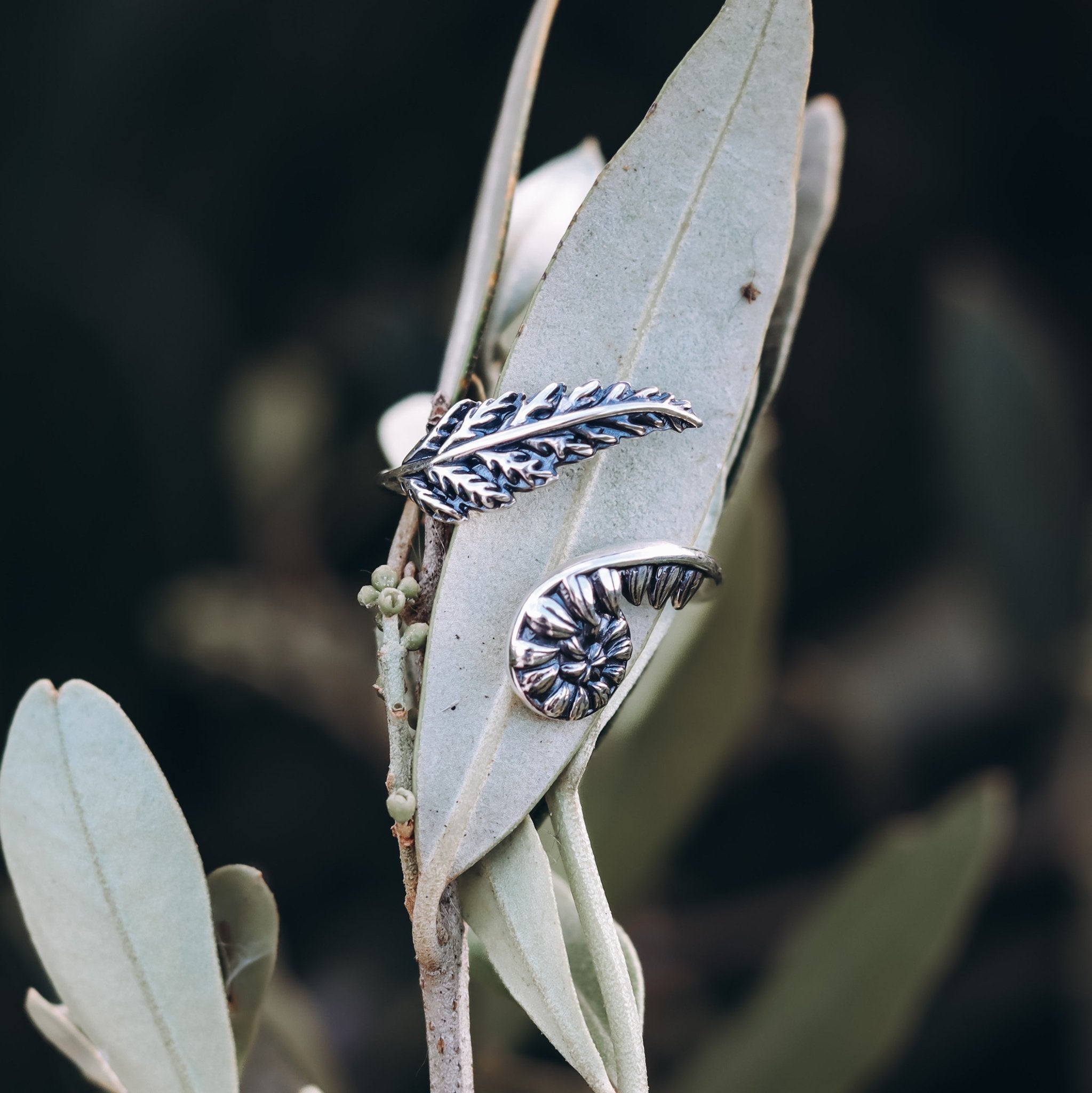Adjustable Fern Sterling Silver or Bronze Ring - Kowhai and Sage