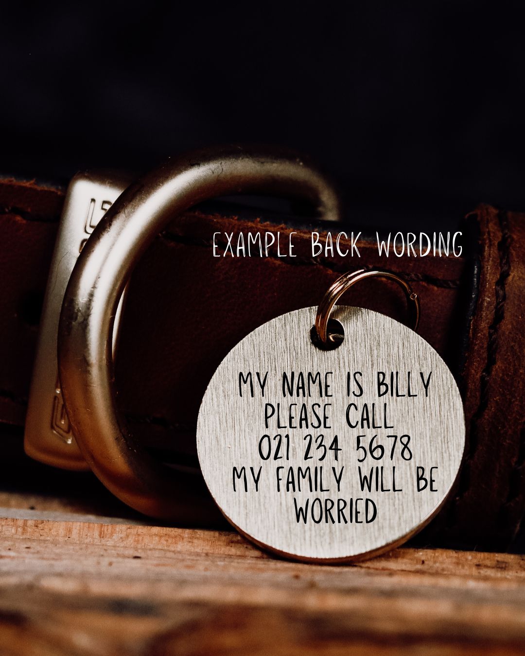 Waewae Express Pet Tag