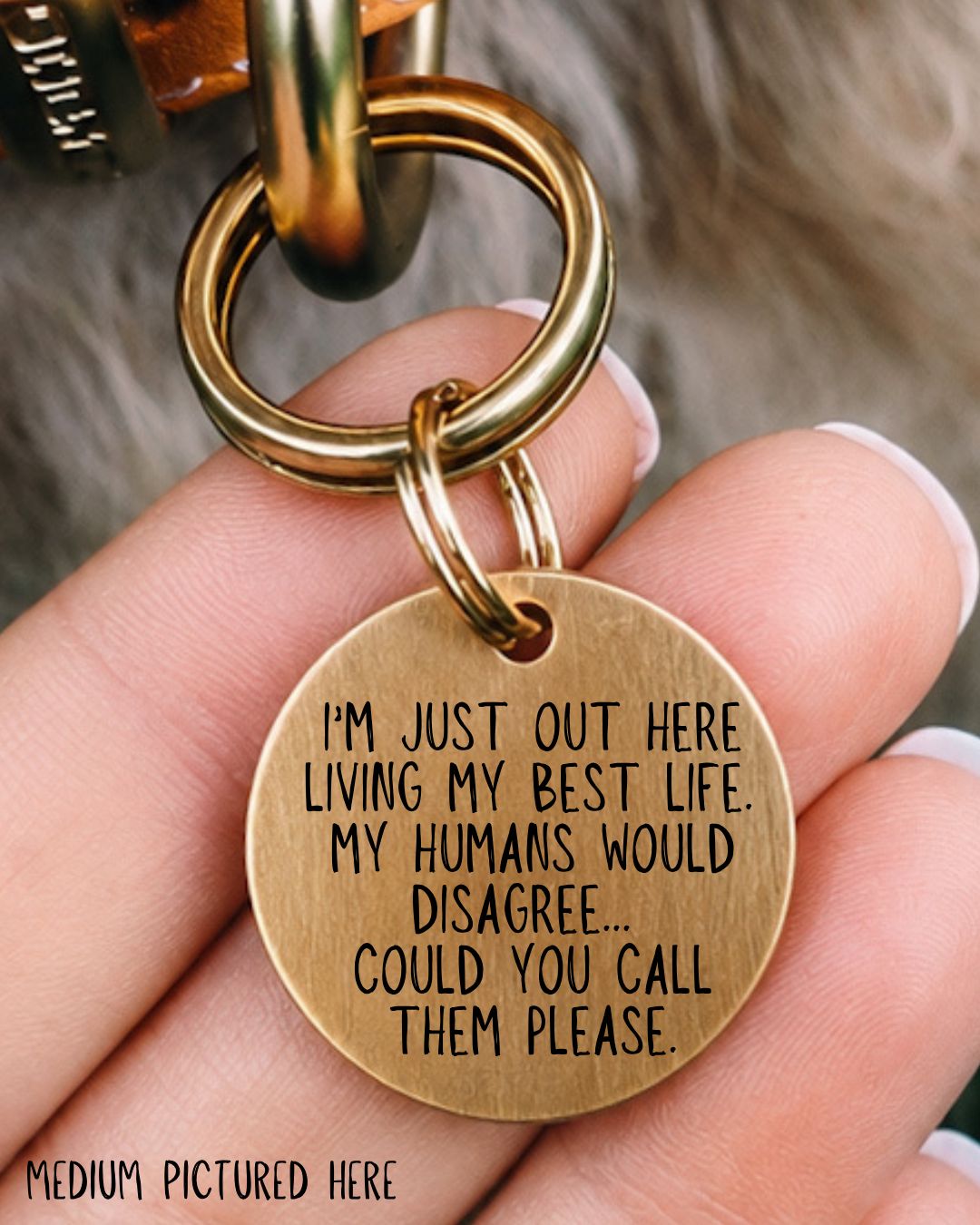 Living My Best Life Pet Tag