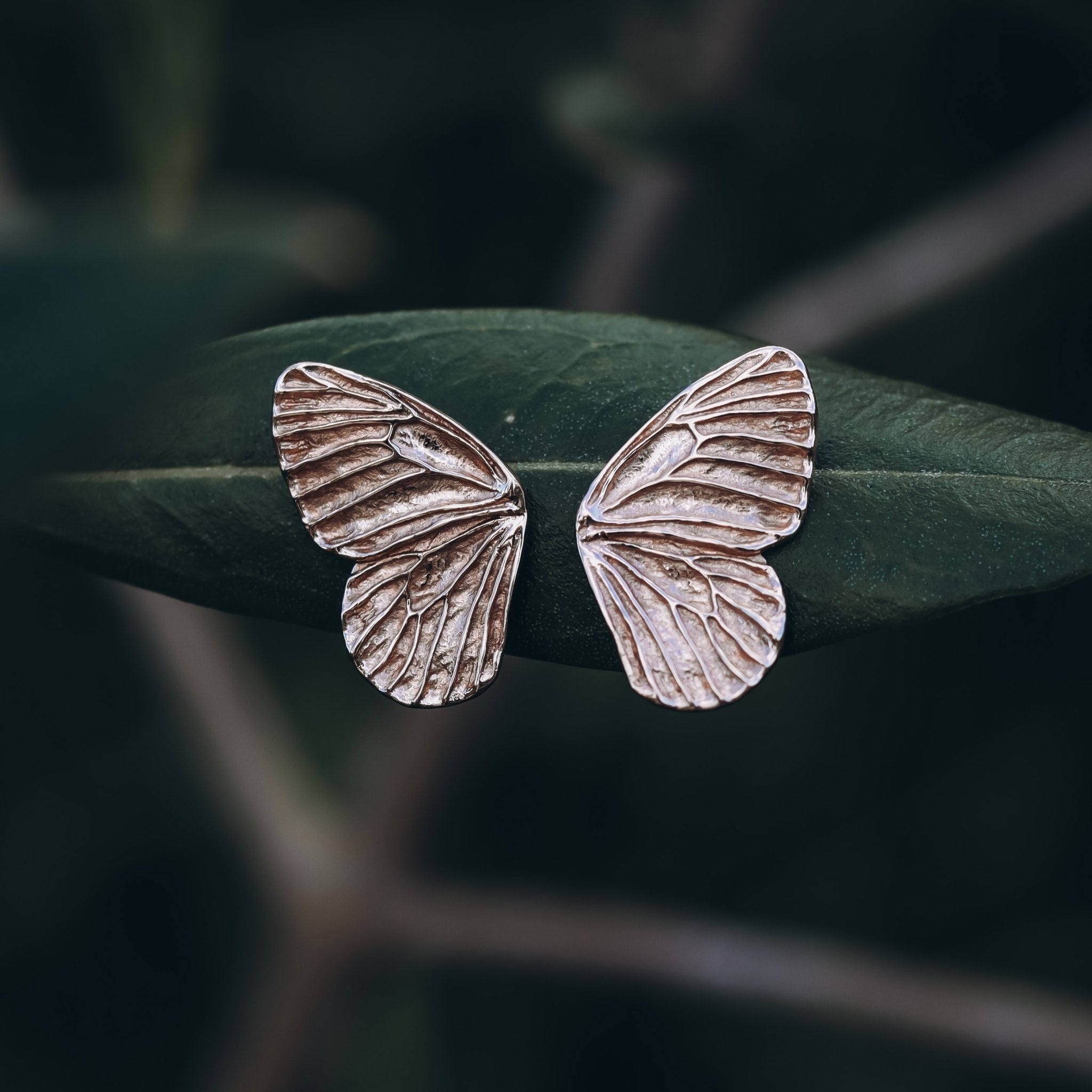Butterfly Wing Stud Earrings - Kowhai and Sage