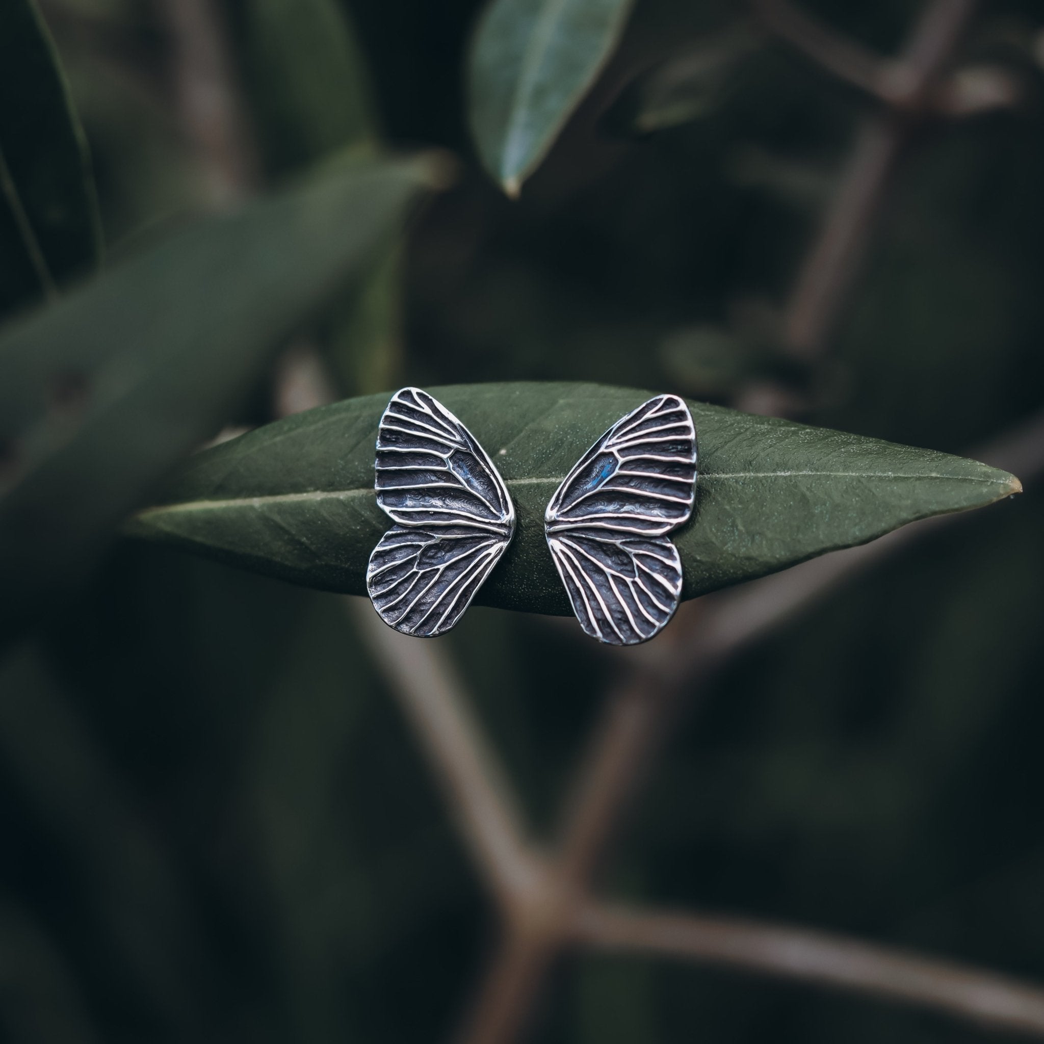 Butterfly Wing Stud Earrings - Kowhai and Sage