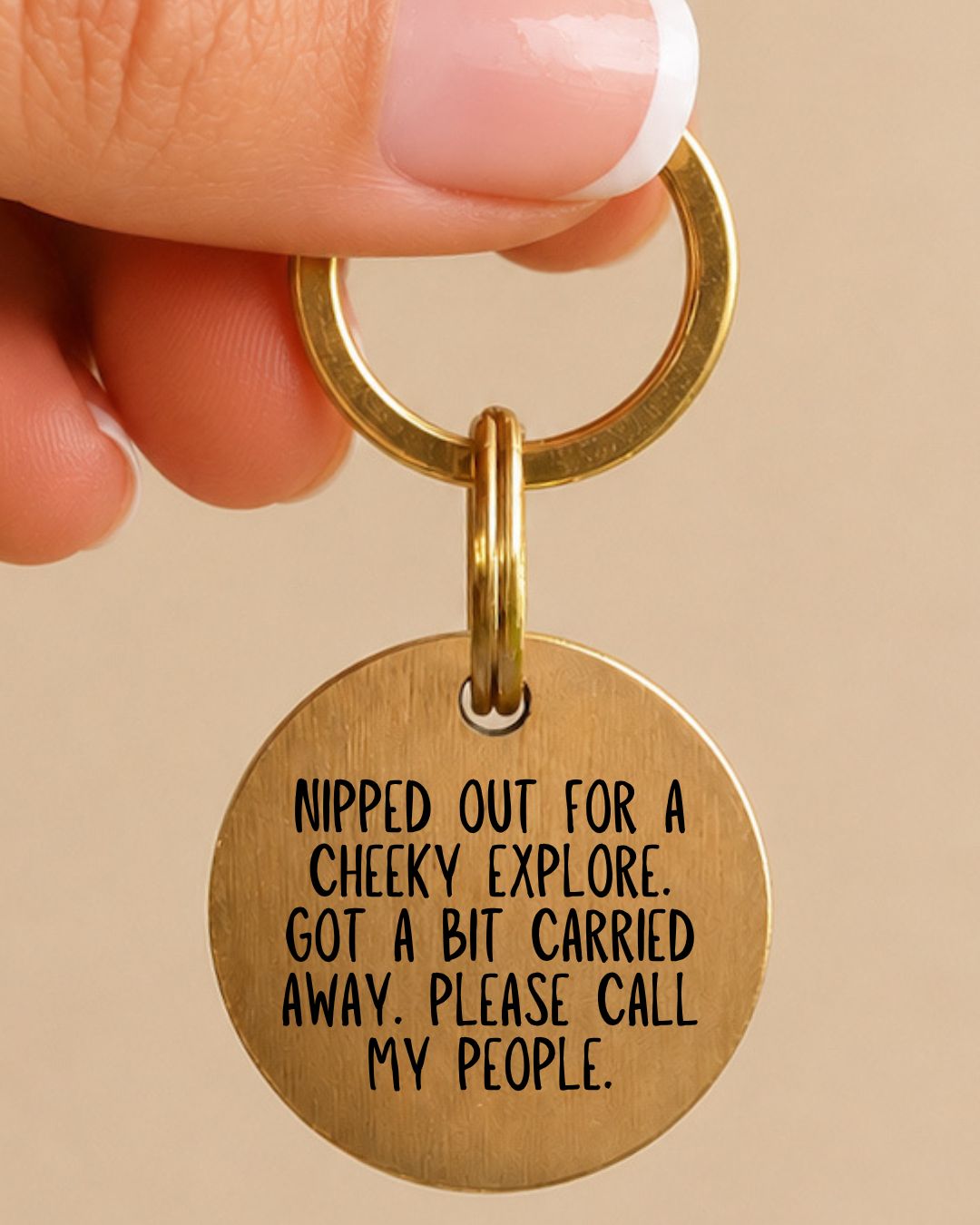 Cheeky Explore Pet Tag