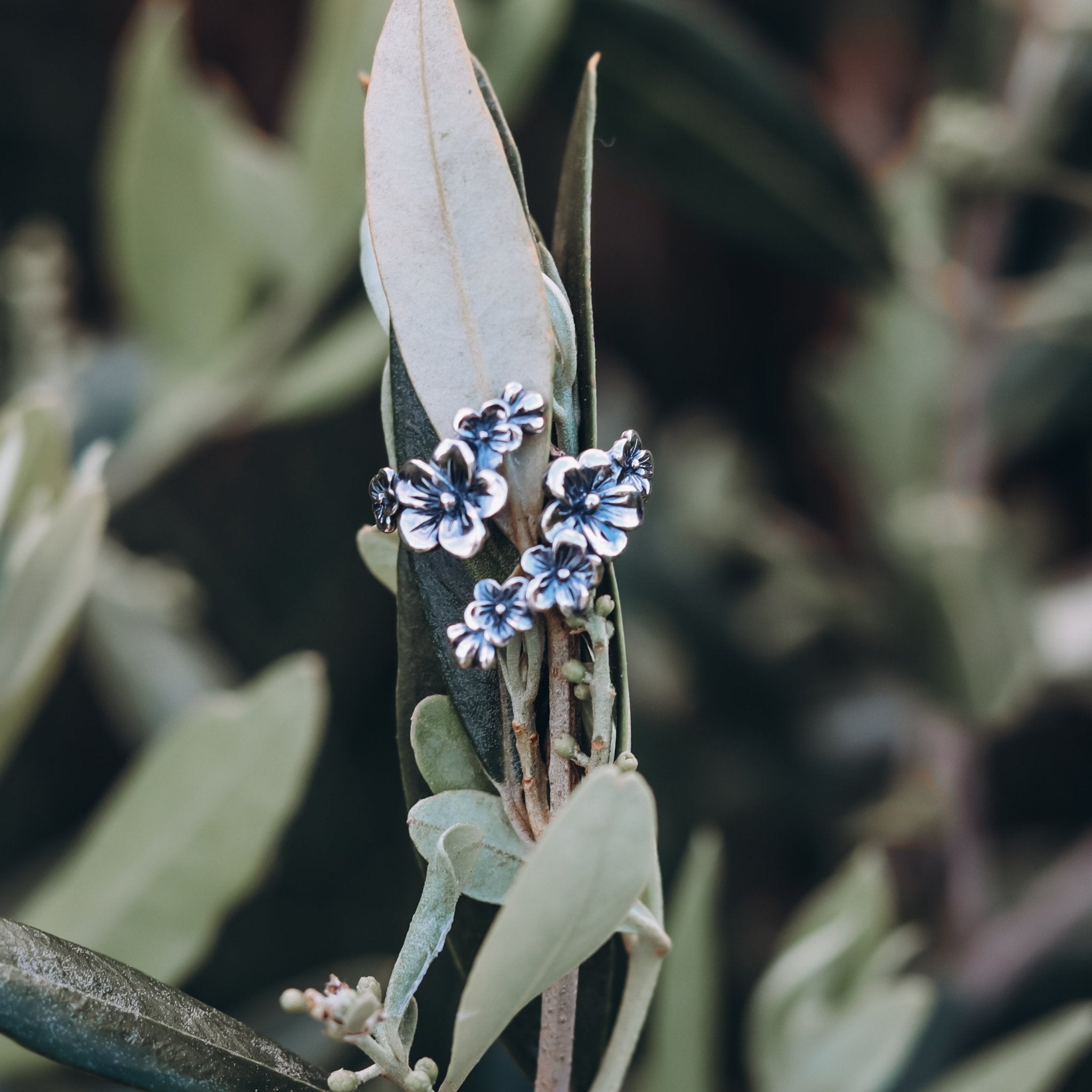 Manuka Blossom Adjustable Ring - Kowhai and Sage