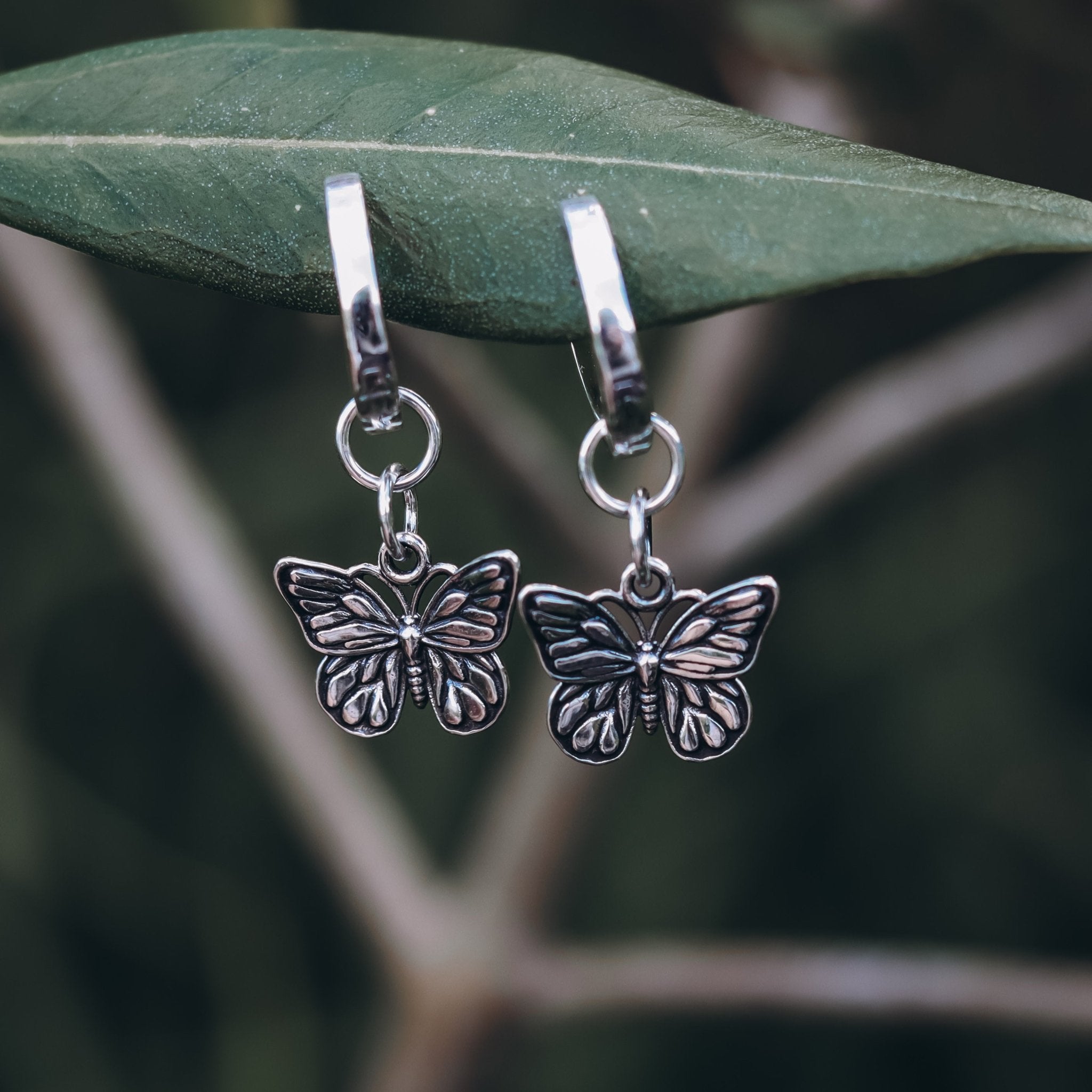 Monarch Butterfly Earrings - Kowhai and Sage