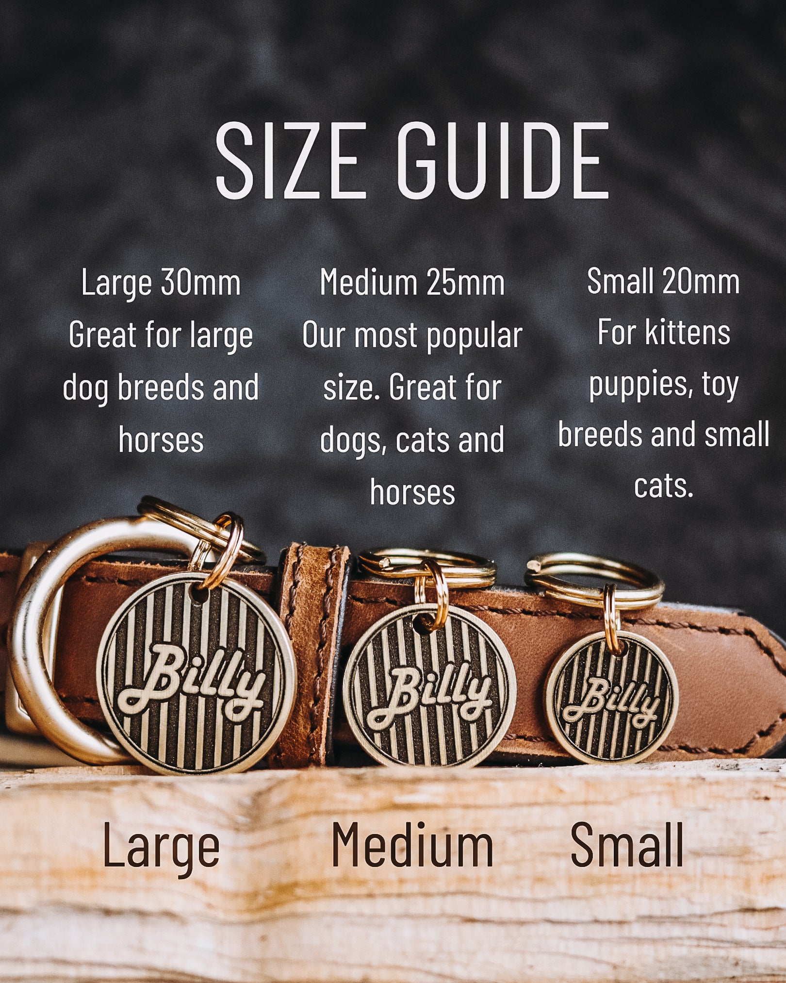 The Companion Pet Tag