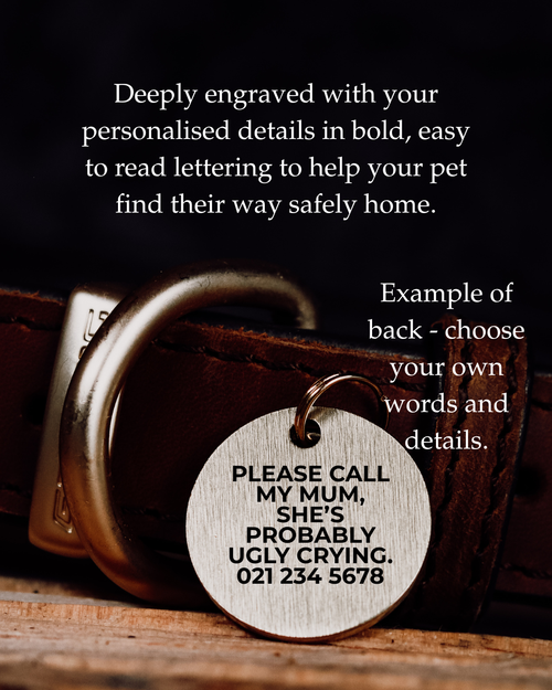 The Companion Pet Tag