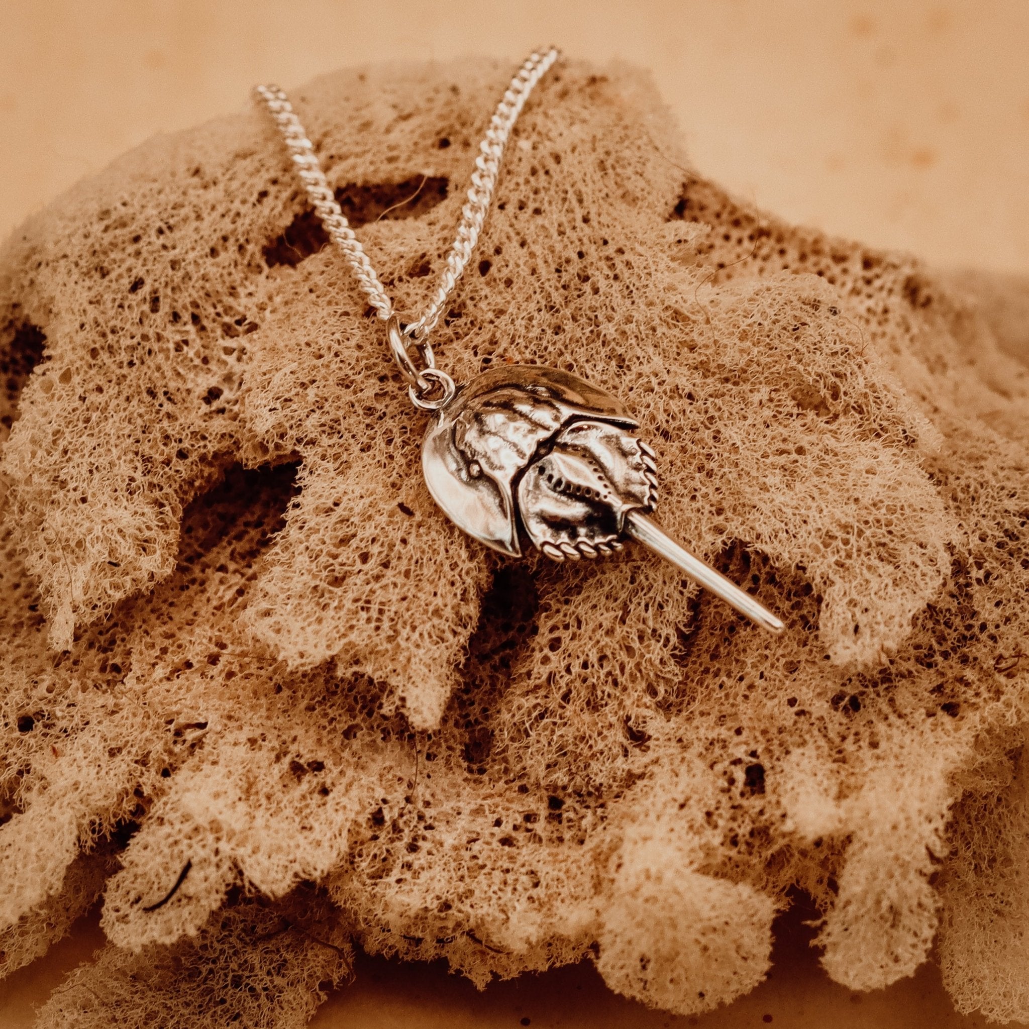 Silver Horseshoe Crab Talisman Necklace - Kowhai and Sage