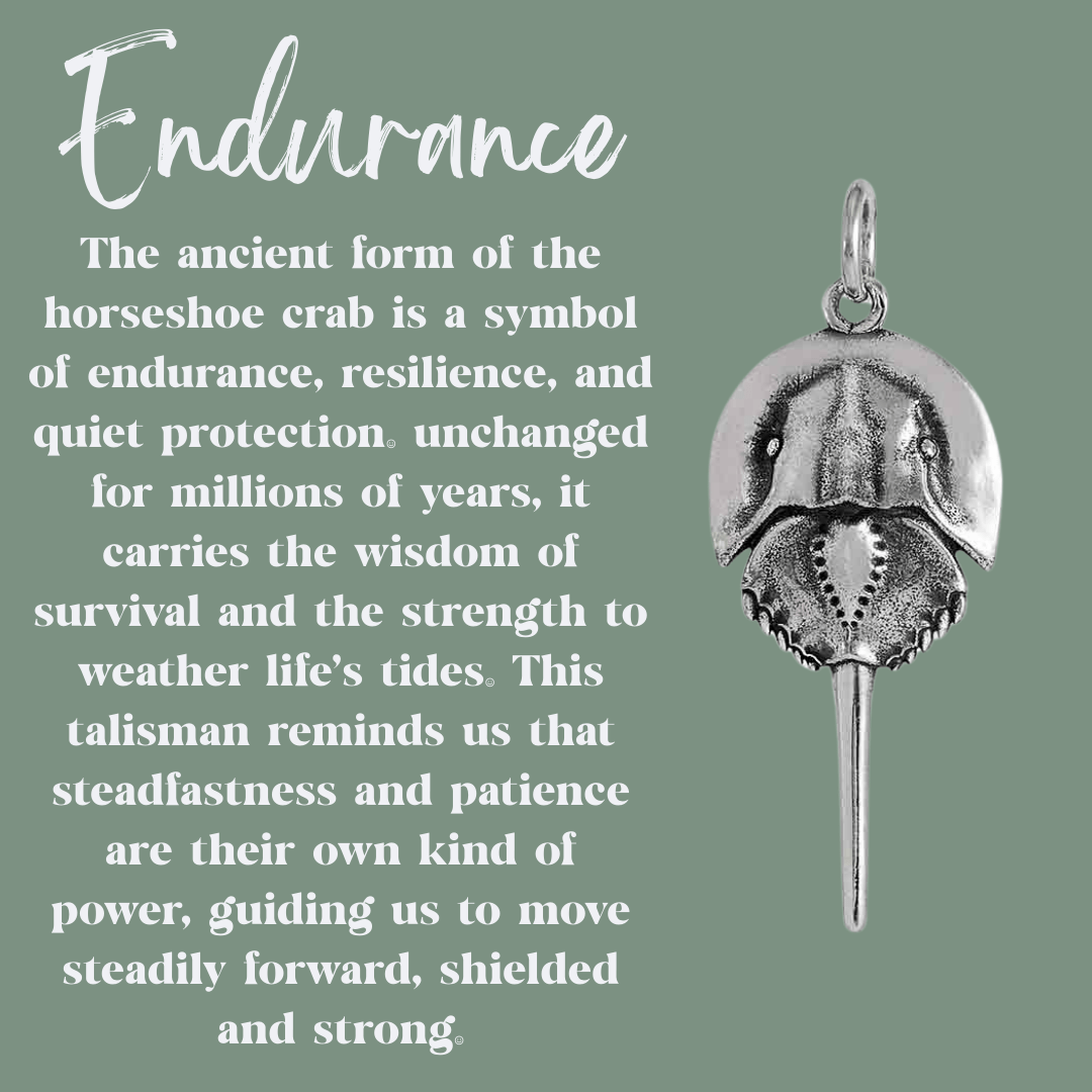 Silver Horseshoe Crab Talisman Necklace - Kowhai and Sage