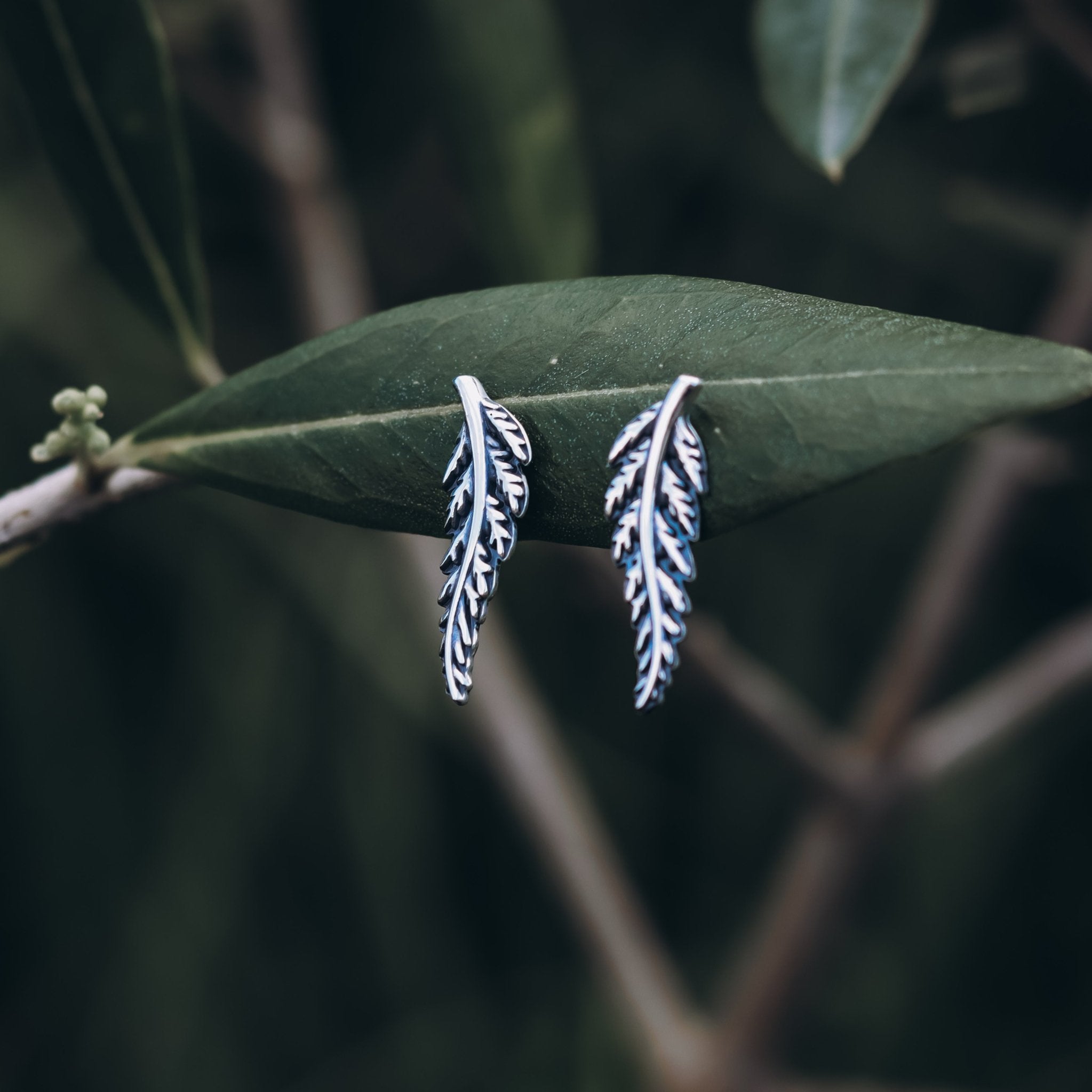 Sterling Silver Fern Earrings - Kowhai and Sage