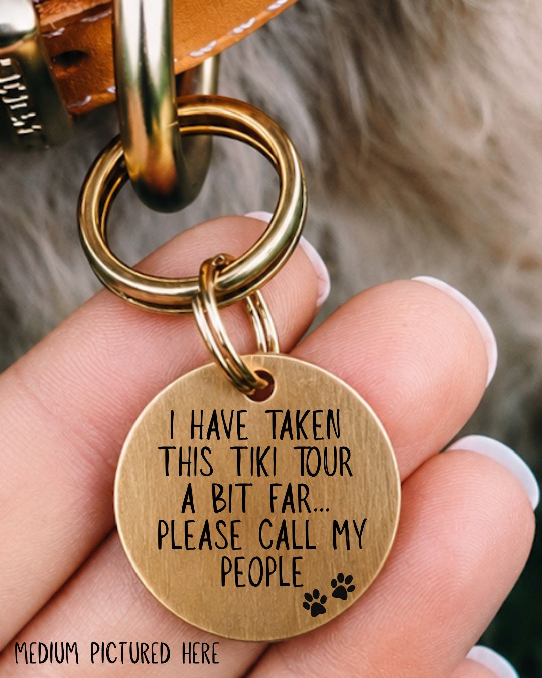 Tiki Tour Pet Tag