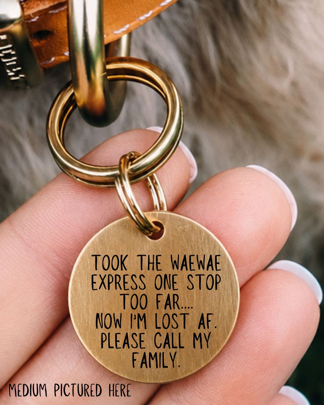 Waewae Express Pet Tag